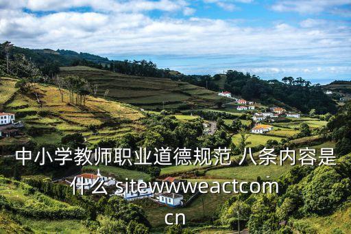 中小學教師職業(yè)道德規(guī)范 八條內容是什么 sitewwweactcomcn