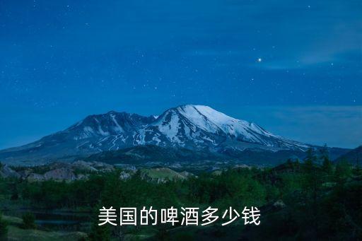 美國的啤酒多少錢