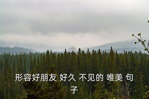 好久不見的唯美句子