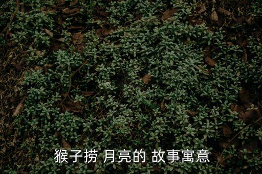 小猴子撈月亮的故事,猴子釣魚月亮聊什么故事講述