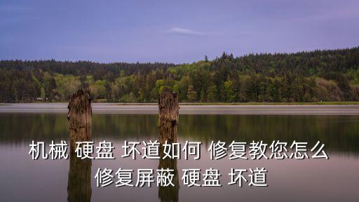 機械 硬盤 壞道如何 修復教您怎么 修復屏蔽 硬盤 壞道