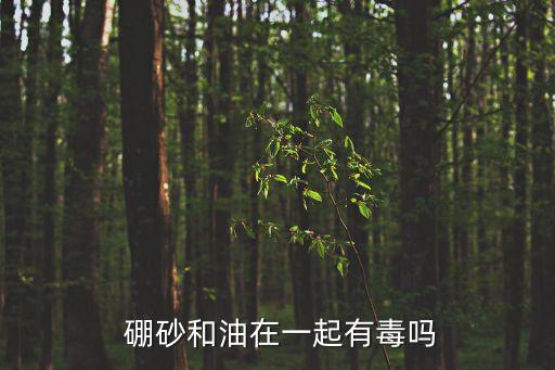  硼砂和油在一起有毒嗎