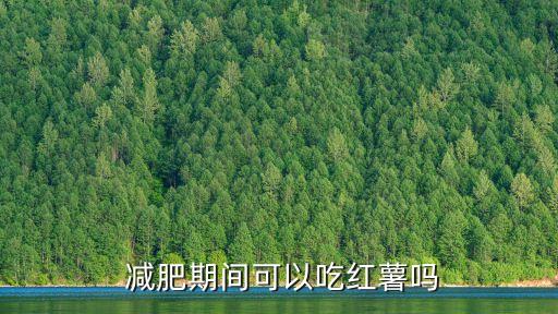 減肥可以吃地瓜嗎,多吃紅薯有益于減肥但不能全吃
