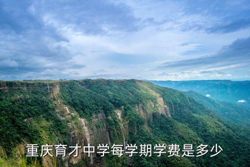 重慶育才中學(xué)每學(xué)期學(xué)費是多少