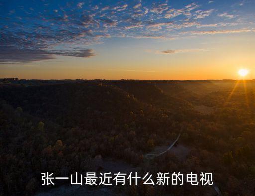 張一山最近有什么新的電視