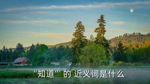 “知道”的 近義詞是什么