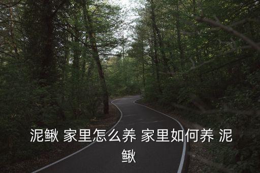 泥鰍怎么養(yǎng)在家里,水族箱養(yǎng)殖泥鰍注意事項