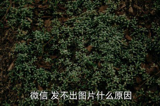  微信 發(fā)不出圖片什么原因