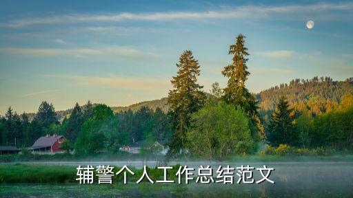 輔警個人總結，輔警個人工作總結范文