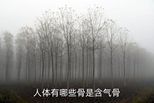 人體有哪些骨是含氣骨