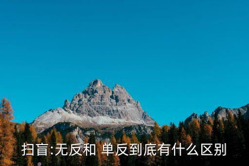 掃盲:無反和 單反到底有什么區別