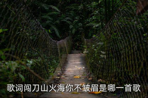 歌詞闖刀山火海你不皺眉是哪一首歌