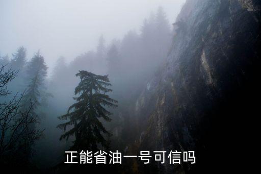 正能省油一號可信嗎