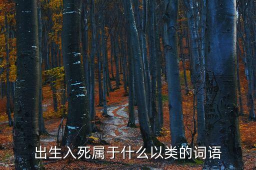 出生入死屬于什么以類的詞語