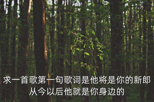 求一首歌第一句歌詞是他將是你的新郎從今以后他就是你身邊的
