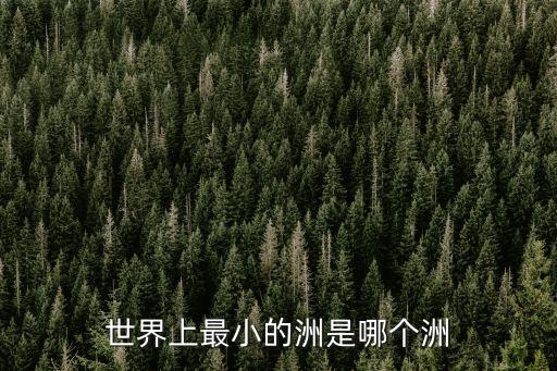 最小的洲，地球上最小的州是哪個州