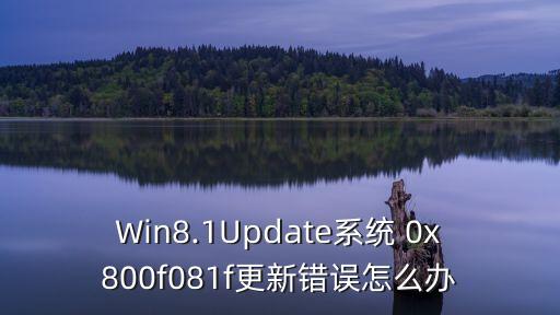 Win8.1Update系統 0x800f081f更新錯誤怎么辦