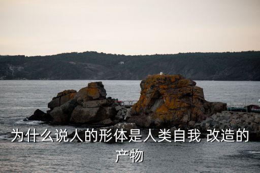 人體改造,無奈之下張華干起黑人老本行人體改造
