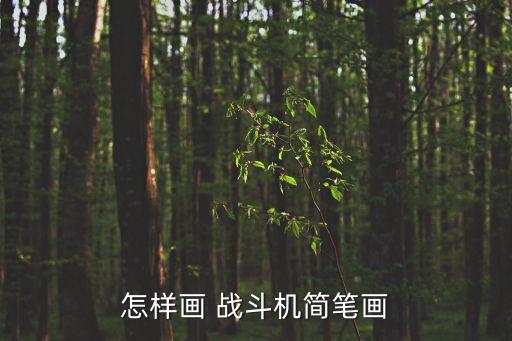 怎樣畫 戰斗機簡筆畫