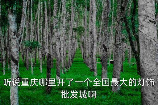 重慶市潼南區燈飾產業基地，聽說重慶哪里開了一個全國最大的燈飾批發城啊