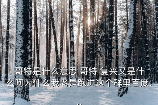  哥特是什么意思 哥特 復興又是什么阿為什么我老是跑進這個群里百度...