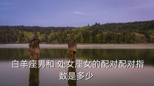 白羊座男和 處女座女的配對配對指數是多少