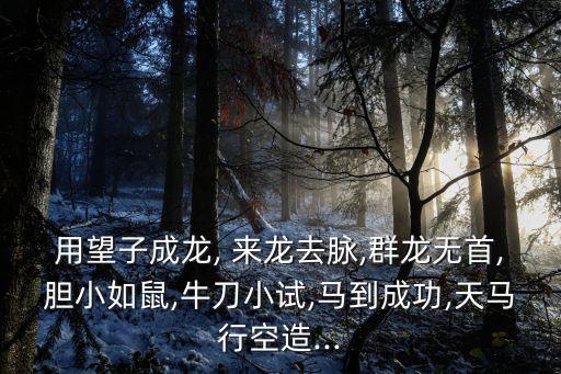 用望子成龍, 來龍去脈,群龍無首,膽小如鼠,牛刀小試,馬到成功,天馬行空造...