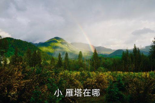 小 雁塔在哪