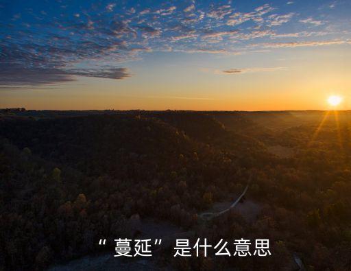蔓延,第二集:蔓延你好在我心中