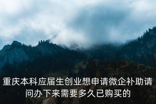 重慶本科應屆生創業想申請微企補助請問辦下來需要多久已購買的
