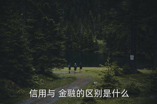 金融信用,創(chuàng)造新概念指代信用的金融中介是為了描述新經(jīng)濟(jì)現(xiàn)象