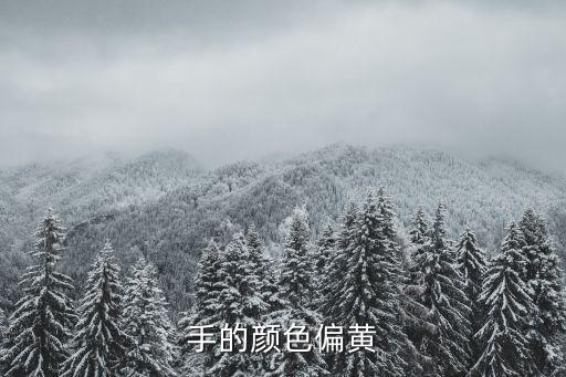 手的顏色偏黃