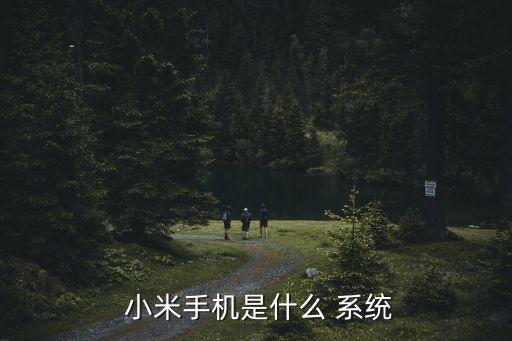  小米手機是什么 系統