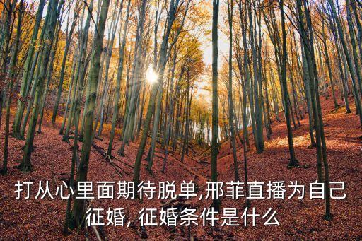 打從心里面期待脫單,邢菲直播為自己 征婚, 征婚條件是什么