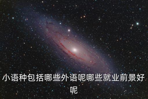 小語種有哪些，小語種有多少種