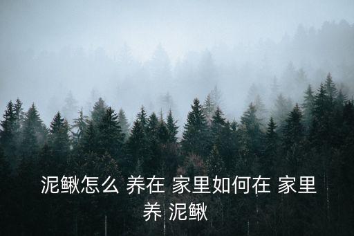  泥鰍怎么 養在 家里如何在 家里養 泥鰍