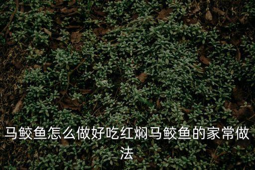 馬鮫魚怎么做好吃紅燜馬鮫魚的家常做法