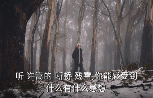 斷橋殘雪許嵩,斷橋殘雪