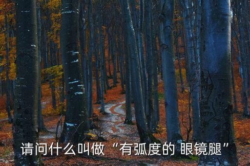 請問什么叫做“有弧度的 眼鏡腿”