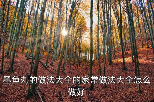 墨魚丸的做法大全的家常做法大全怎么做好