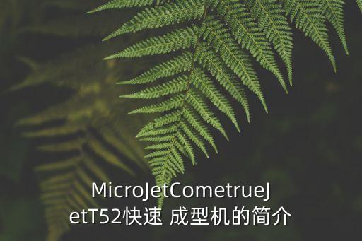 MicroJetCometrueJetT52快速 成型機的簡介