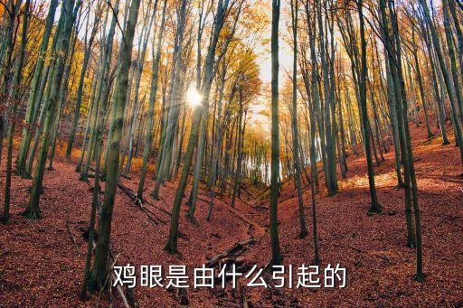 雞眼是由什么引起的