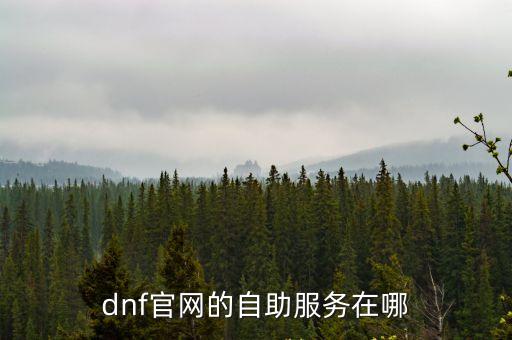 dnf官網(wǎng)的自助服務(wù)在哪