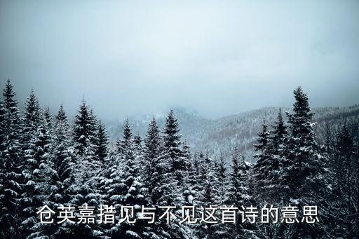 倉英嘉措見與不見這首詩的意思