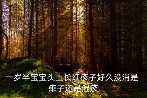 一歲半寶寶頭上長紅疹子好久沒消是 痱子還是濕疹