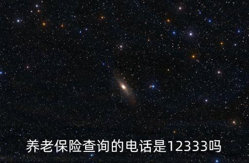 養老保險查詢的電話是12333嗎