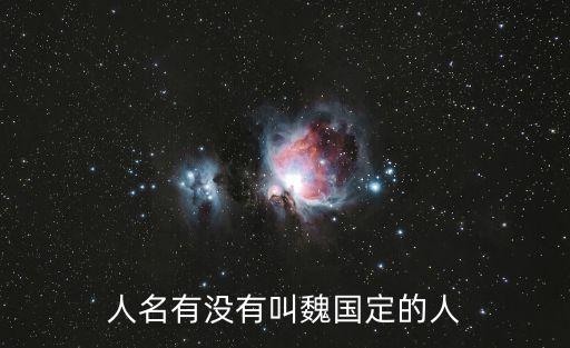 人名有沒有叫魏國定的人