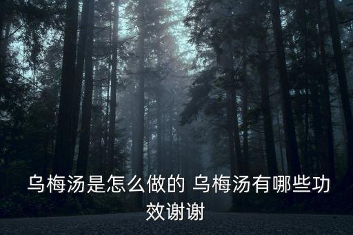  烏梅湯是怎么做的 烏梅湯有哪些功效謝謝