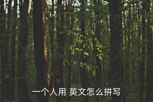 一個人用 英文怎么拼寫