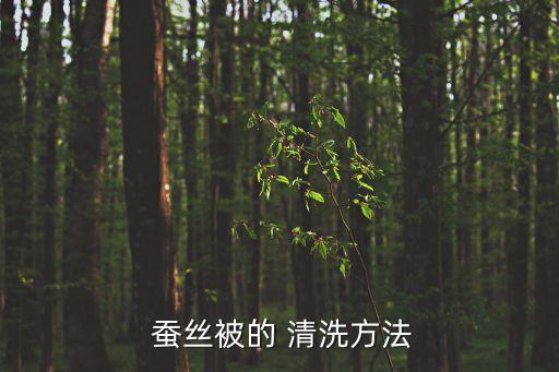  蠶絲被的 清洗方法